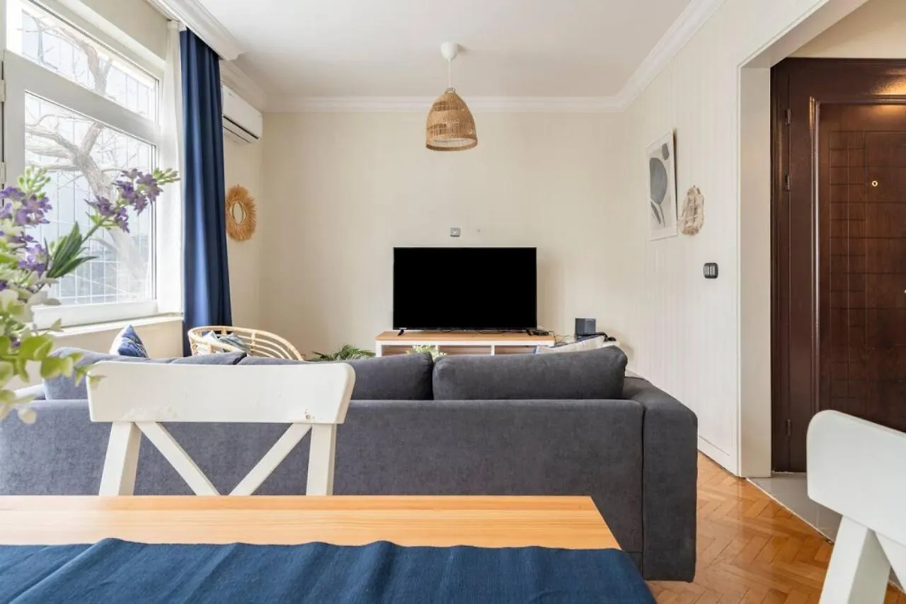 Sleek Apartment Istanbul Turkey
